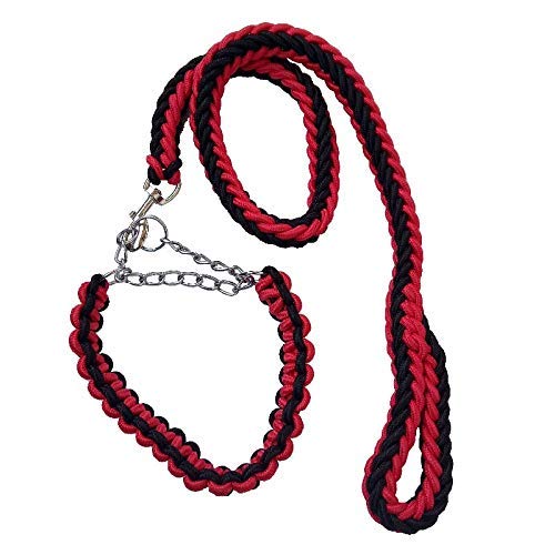 Electomania Nylon Dog Leash for Large Dogs with Extra Strong Brass Snap Hook Large (Black/Red)