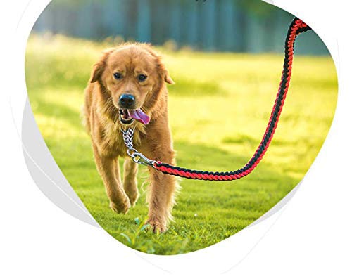 Electomania Nylon Dog Leash for Large Dogs with Extra Strong Brass Snap Hook Large (Black/Red)