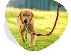 Electomania Nylon Dog Leash for Large Dogs with Extra Strong Brass Snap Hook Large (Black/Red)