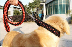 Electomania Nylon Dog Leash for Large Dogs with Extra Strong Brass Snap Hook Large (Black/Red)