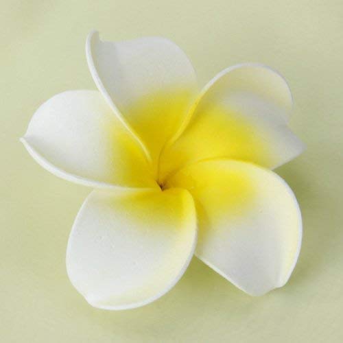 Electomania 2Pcs Women Girls Fashion Hawaiian White Plumeria Flower Foam Hair Clip Balaclavas for Beach