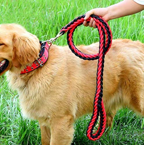 Electomania Nylon Dog Leash for Large Dogs with Extra Strong Brass Snap Hook Large (Black/Red)