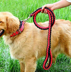 Electomania Nylon Dog Leash for Large Dogs with Extra Strong Brass Snap Hook Large (Black/Red)